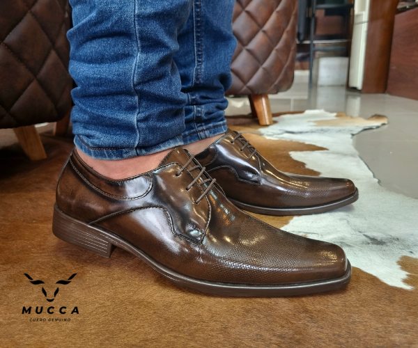 zapato clasico en cuero para hombre color amadeo cafe 1702